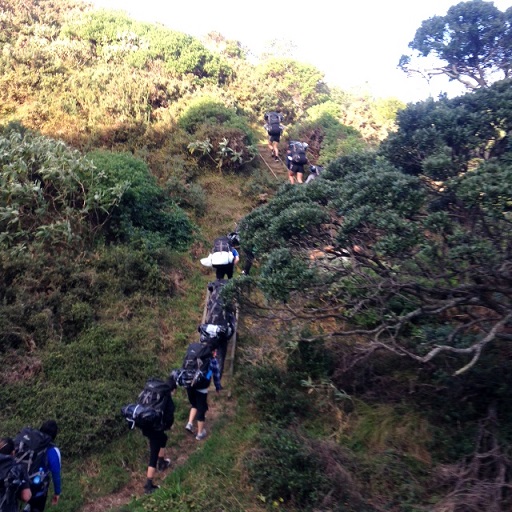 Waiheke_16-17_June_Uphill_2.jpg